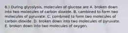 6.) During glycolysis, molecules of glucose are A. broken down into two molecules of carbon dioxide. B. combined to form two molecules of pyruvate. C. combined to form two molecules of carbon dioxide. D. broken down into two molecules of pyruvate. E. broken down into two molecules of oxygen.