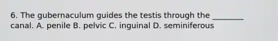 6. The gubernaculum guides the testis through the ________ canal. A. penile B. pelvic C. inguinal D. seminiferous