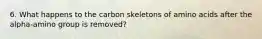 6. What happens to the carbon skeletons of amino acids after the alpha-amino group is removed?