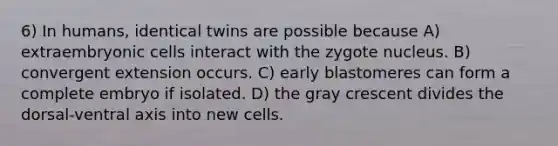 6) In humans, identical twins are possible because A) extraembryonic cells interact with the zygote nucleus. B) convergent extension occurs. C) early blastomeres can form a complete embryo if isolated. D) the gray crescent divides the dorsal-ventral axis into new cells.