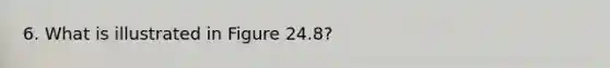 6. What is illustrated in Figure 24.8?