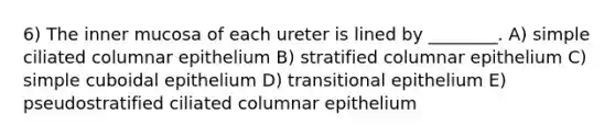 6) The inner mucosa of each ureter is lined by ________. A) simple ciliated columnar epithelium B) stratified columnar epithelium C) simple cuboidal epithelium D) transitional epithelium E) pseudostratified ciliated columnar epithelium