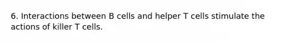 6. Interactions between B cells and helper T cells stimulate the actions of killer T cells.