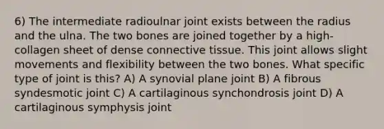 6) The intermediate radioulnar joint exists between the radius and the ulna. The two bones are joined together by a high-collagen sheet of dense connective tissue. This joint allows slight movements and flexibility between the two bones. What specific type of joint is this? A) A synovial plane joint B) A fibrous syndesmotic joint C) A cartilaginous synchondrosis joint D) A cartilaginous symphysis joint