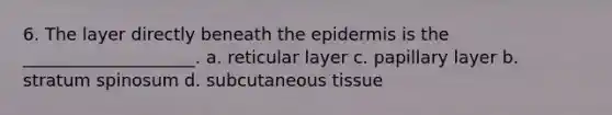 6. The layer directly beneath the epidermis is the ____________________. a. reticular layer c. papillary layer b. stratum spinosum d. subcutaneous tissue