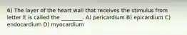 6) The layer of the heart wall that receives the stimulus from letter E is called the ________. A) pericardium B) epicardium C) endocardium D) myocardium