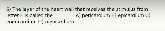 6) The layer of the heart wall that receives the stimulus from letter E is called the ________. A) pericardium B) epicardium C) endocardium D) myocardium