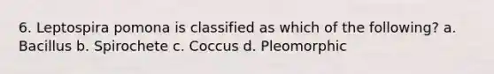 6. Leptospira pomona is classified as which of the following? a. Bacillus b. Spirochete c. Coccus d. Pleomorphic