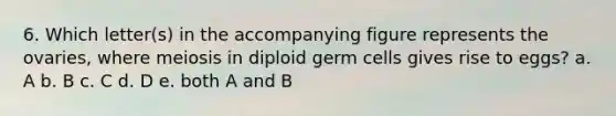 6. Which letter(s) in the accompanying figure represents the ovaries, where meiosis in diploid germ cells gives rise to eggs? a. A b. B c. C d. D e. both A and B