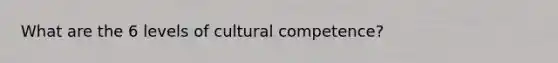 What are the 6 levels of cultural competence?