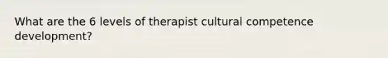 What are the 6 levels of therapist cultural competence development?