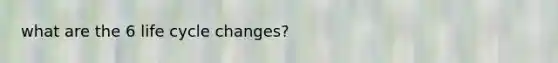 what are the 6 life cycle changes?