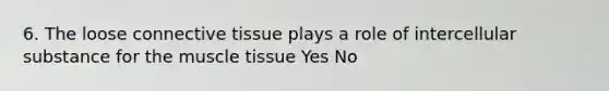 6. The loose connective tissue plays a role of intercellular substance for the muscle tissue Yes No