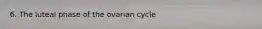 6. The luteal phase of the ovarian cycle