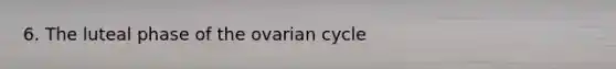 6. The luteal phase of the ovarian cycle