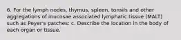 6. For the lymph nodes, thymus, spleen, tonsils and other aggregations of mucosae associated lymphatic tissue (MALT) such as Peyer's patches: c. Describe the location in the body of each organ or tissue.