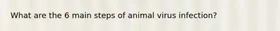 What are the 6 main steps of animal virus infection?