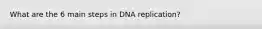 What are the 6 main steps in DNA replication?