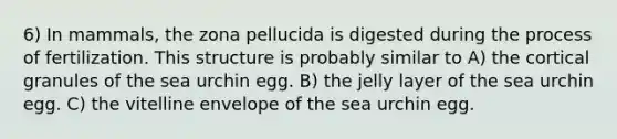 6) In mammals, the zona pellucida is digested during the process of fertilization. This structure is probably similar to A) the cortical granules of the sea urchin egg. B) the jelly layer of the sea urchin egg. C) the vitelline envelope of the sea urchin egg.