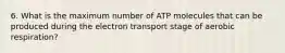 6. What is the maximum number of ATP molecules that can be produced during the electron transport stage of aerobic respiration?