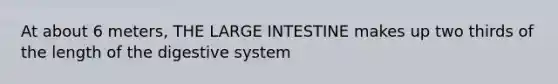 At about 6 meters, THE LARGE INTESTINE makes up two thirds of the length of the digestive system