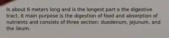 Is about 6 meters long and is the longest part o the digestive tract. It main purpose is the digestion of food and absorption of nutrients and consists of three section: duodenum, jejunum, and the ileum.