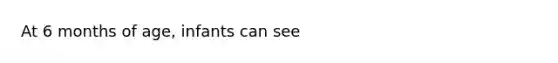 At 6 months of age, infants can see