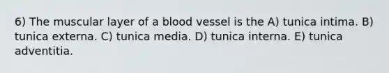 6) The muscular layer of a blood vessel is the A) tunica intima. B) tunica externa. C) tunica media. D) tunica interna. E) tunica adventitia.