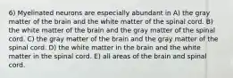 6) Myelinated neurons are especially abundant in A) the gray matter of the brain and the white matter of the spinal cord. B) the white matter of the brain and the gray matter of the spinal cord. C) the gray matter of the brain and the gray matter of the spinal cord. D) the white matter in the brain and the white matter in the spinal cord. E) all areas of the brain and spinal cord.