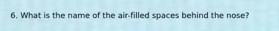 6. What is the name of the air-filled spaces behind the nose?
