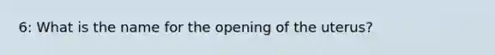 6: What is the name for the opening of the uterus?