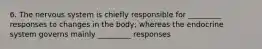 6. The nervous system is chiefly responsible for _________ responses to changes in the body; whereas the endocrine system governs mainly _________ responses