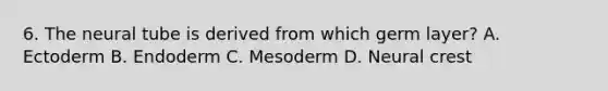 6. The neural tube is derived from which germ layer? A. Ectoderm B. Endoderm C. Mesoderm D. Neural crest