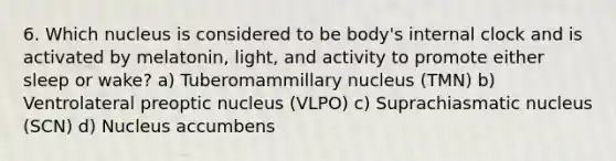 6. Which nucleus is considered to be body's internal clock and is activated by melatonin, light, and activity to promote either sleep or wake? a) Tuberomammillary nucleus (TMN) b) Ventrolateral preoptic nucleus (VLPO) c) Suprachiasmatic nucleus (SCN) d) Nucleus accumbens