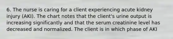 6. The nurse is caring for a client experiencing acute kidney injury (AKI). The chart notes that the client's urine output is increasing significantly and that the serum creatinine level has decreased and normalized. The client is in which phase of AKI