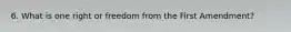 6. What is one right or freedom from the First Amendment?