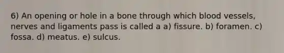 6) An opening or hole in a bone through which blood vessels, nerves and ligaments pass is called a a) fissure. b) foramen. c) fossa. d) meatus. e) sulcus.