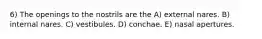 6) The openings to the nostrils are the A) external nares. B) internal nares. C) vestibules. D) conchae. E) nasal apertures.