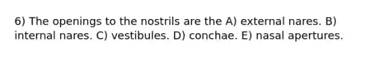 6) The openings to the nostrils are the A) external nares. B) internal nares. C) vestibules. D) conchae. E) nasal apertures.