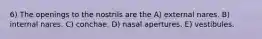 6) The openings to the nostrils are the A) external nares. B) internal nares. C) conchae. D) nasal apertures. E) vestibules.
