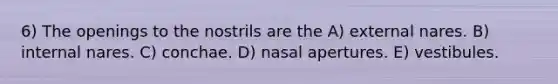 6) The openings to the nostrils are the A) external nares. B) internal nares. C) conchae. D) nasal apertures. E) vestibules.