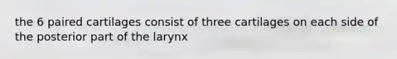 the 6 paired cartilages consist of three cartilages on each side of the posterior part of the larynx