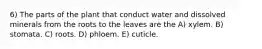 6) The parts of the plant that conduct water and dissolved minerals from the roots to the leaves are the A) xylem. B) stomata. C) roots. D) phloem. E) cuticle.