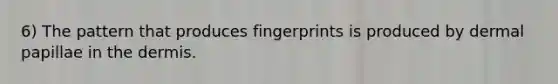 6) The pattern that produces fingerprints is produced by dermal papillae in the dermis.