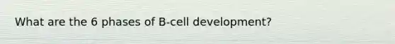 What are the 6 phases of B-cell development?