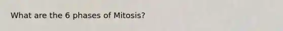 What are the 6 phases of Mitosis?