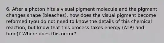 6. After a photon hits a visual pigment molecule and the pigment changes shape (bleaches), how does the visual pigment become reformed (you do not need to know the details of this chemical reaction, but know that this process takes energy (ATP) and time)? Where does this occur?