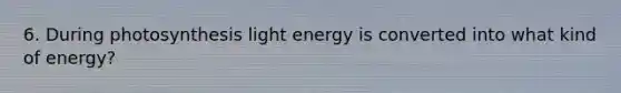 6. During photosynthesis light energy is converted into what kind of energy?