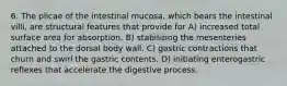 6. The plicae of the intestinal mucosa, which bears the intestinal villi, are structural features that provide for A) increased total surface area for absorption. B) stabilizing the mesenteries attached to the dorsal body wall. C) gastric contractions that churn and swirl the gastric contents. D) initiating enterogastric reflexes that accelerate the digestive process.