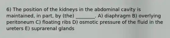 6) The position of the kidneys in the abdominal cavity is maintained, in part, by (the) ________. A) diaphragm B) overlying peritoneum C) floating ribs D) osmotic pressure of the fluid in the ureters E) suprarenal glands